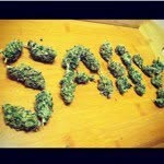 Sally Jules ✌ - @sallyjules - Instagram