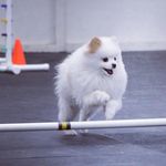 Sally June - @sallyjune - Instagram