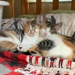 Sally Jung - Facebook