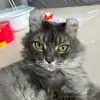 SallyGustavJung - @sallygustavjung - TikTok