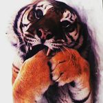 jolina mittag - @sallykatze30 - Instagram