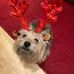 Sally Katz - Facebook