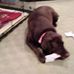 Sally Katz - Facebook