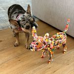 Sally Katz and Dogz - @chicachihuahua.katzanddogz - Instagram