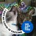 Sally Weil Katz - Facebook