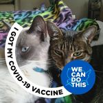 Sally Weil Katz - @sallykatz73 - Instagram