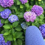 Sally Kaye - @lularoesallie - Instagram