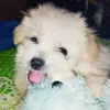 Sally Kaye Florin - @sally.kaye.florin - TikTok