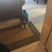 Sally Keating - Facebook