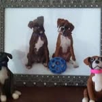 Sally Keller - @sallykeller596 - Instagram