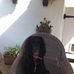 Sally Kenny - Facebook