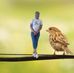 Sally Kite - Facebook