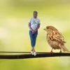 sallykite839 - @sallykite1 - TikTok