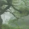 sally.polarkite - @sally.polarkite - TikTok