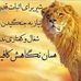 Sally Klein - Facebook