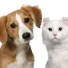 sally - @sally.klein1 - TikTok