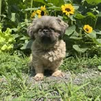 Sally Knotts - Facebook