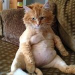 Sally Knutson - @sally.knutson.507 - Instagram
