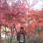Sally Kwan - @sally.kwan.33 - Instagram