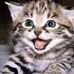 Sally Kyle - Facebook