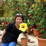 Sally Lam - @lpfsally - Instagram