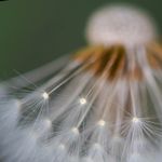 Sally Lam - @little_itchy_finger - Instagram