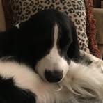 Sally Lancaster - Facebook