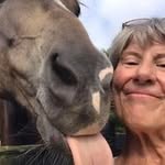 Sally Landers - @sallylanders4 - Instagram