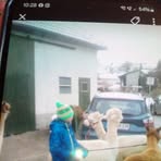 Sally Lange - Facebook