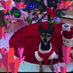 Sally Langille - Facebook