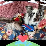 Sally Kopp LaPorte - @sallykopplaporte - Instagram