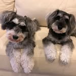 Sally and Lara - @sallyandlara - Instagram