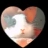 sally - @sally_lara4 - TikTok