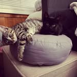 Sally Laskey - @sjlaskey - Instagram