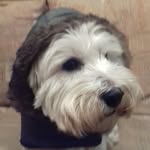 Sally Laskey - @sallylaskey52 - Instagram