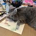 Sally Jo Singleton Lawlor - Facebook