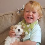 Sally Lawlor - @lawlorsally - Instagram