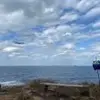 sallylaws - @sallylaws2 - TikTok