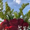 ريحان - @sallyalay - TikTok