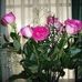 Sally LeGault - Facebook