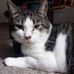 Sally LeGault - Facebook