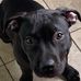 Sally Hooper Leger - Facebook