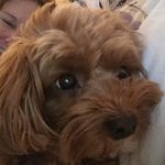 Sally Lehman - @sally.lehman.549 - Instagram