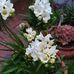 Sally Lehmann - Facebook