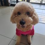 Sally Leong - Facebook