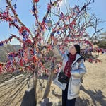 Sally Leong - @sallyleongsl - Instagram