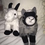 Leroy And Sally - @leroyandsallythegoats - Instagram