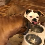Sally & Leroy - @sally.leroy - Instagram
