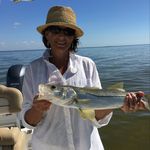 Sally Levine-Snader - @slevinesnader - Instagram