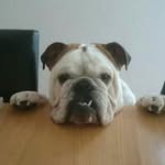 Sally Liddle - @liddlesally - Instagram